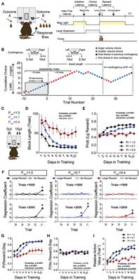 Behavioral Paradigms to Probe Individual Mouse Differences in Value-Based Decision Making